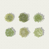 Vector Plan Trees + Shadows