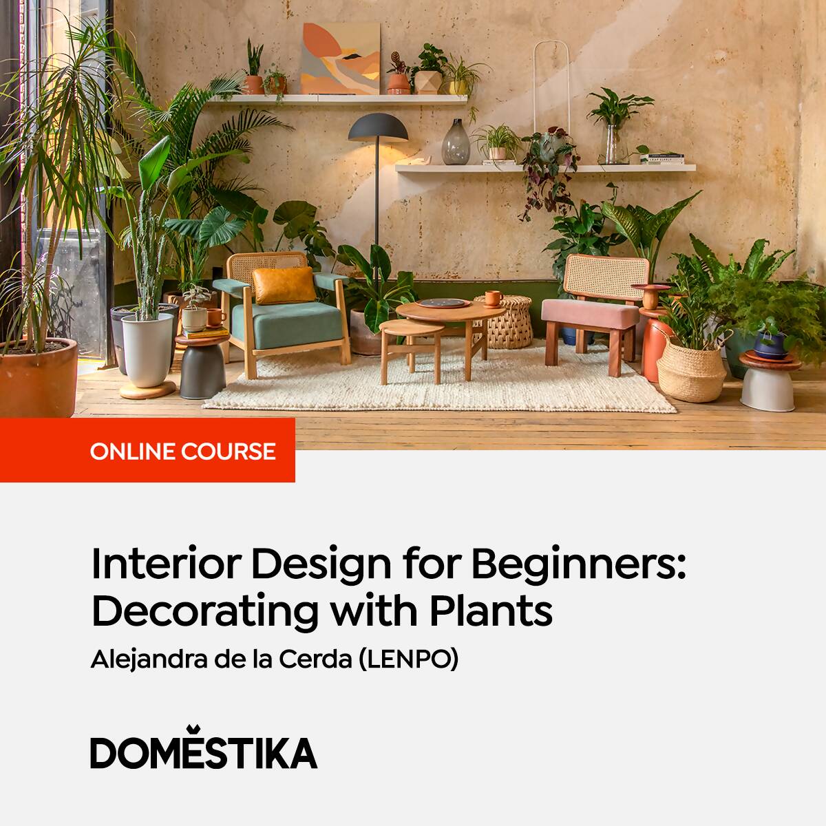 Interior Design for Beginners: Decorating with Plants | Learn ... - Combining Interior Design And Horticulture