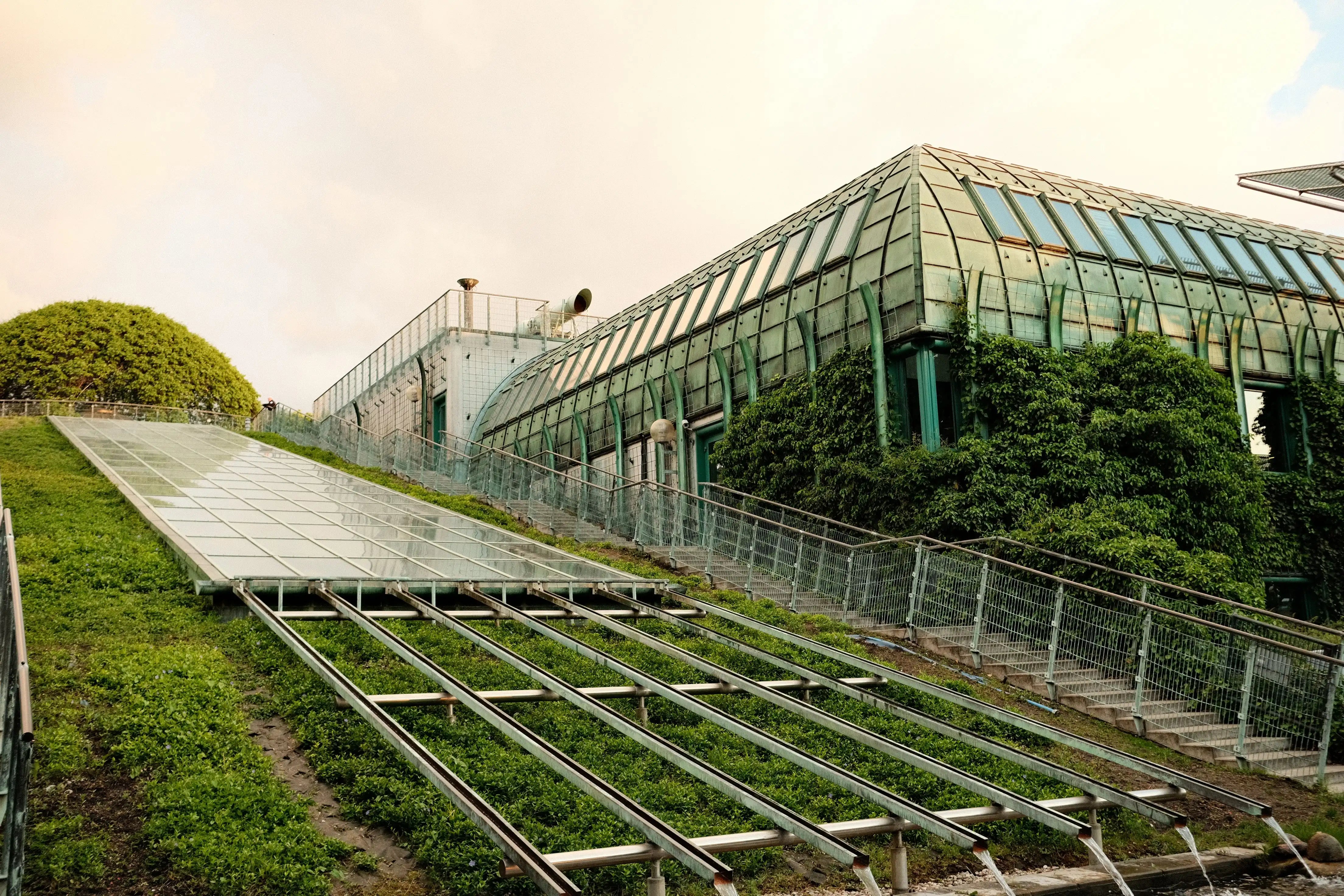 What Is a Green Roof? Types and Benefits