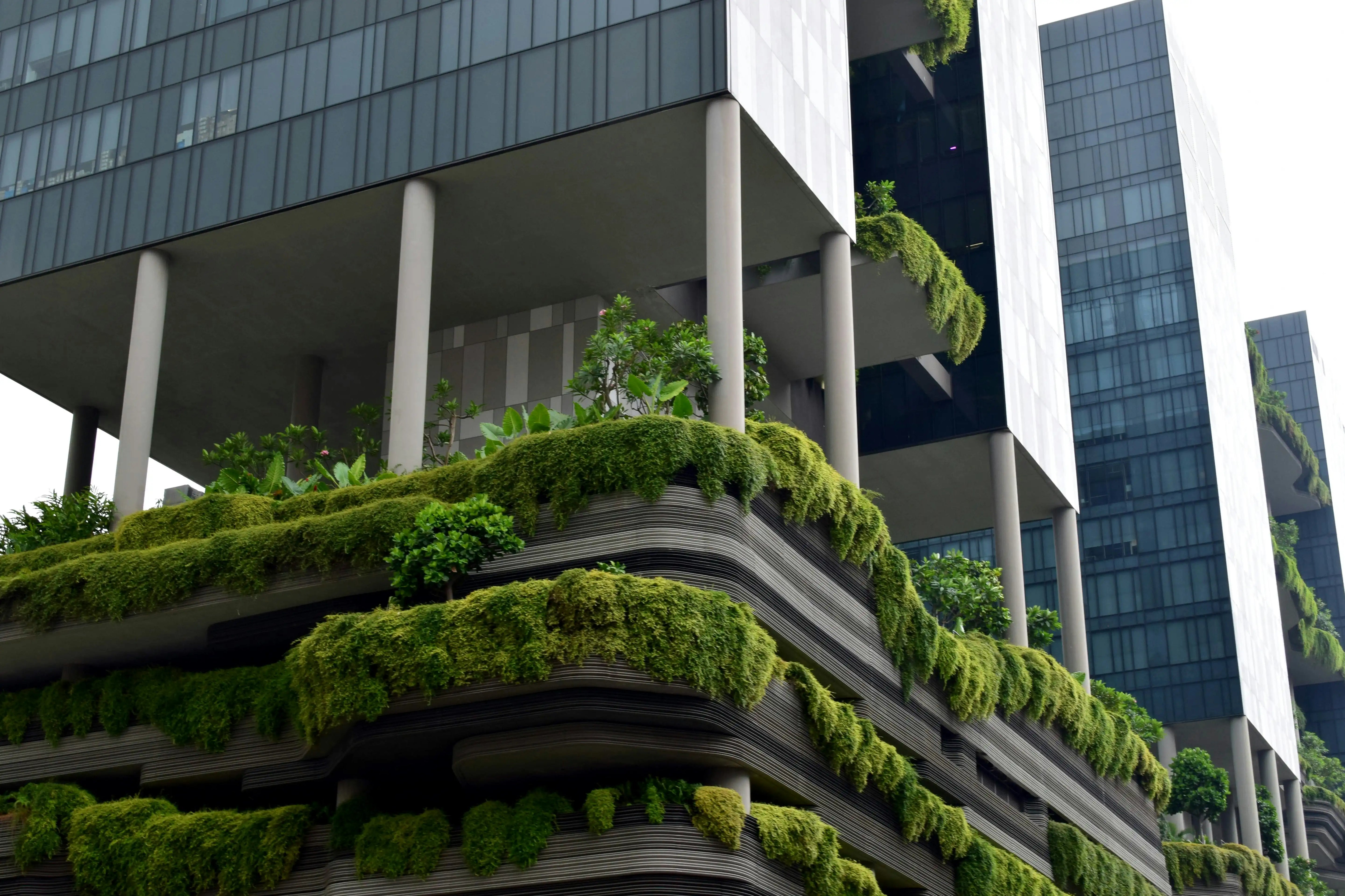 What Is LEED Certification?
