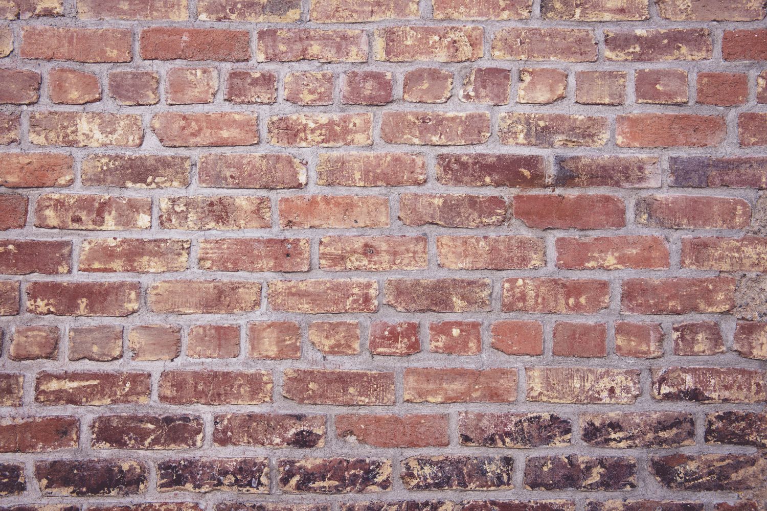 What Is a Shear Wall and Why Do Buildings Need One?