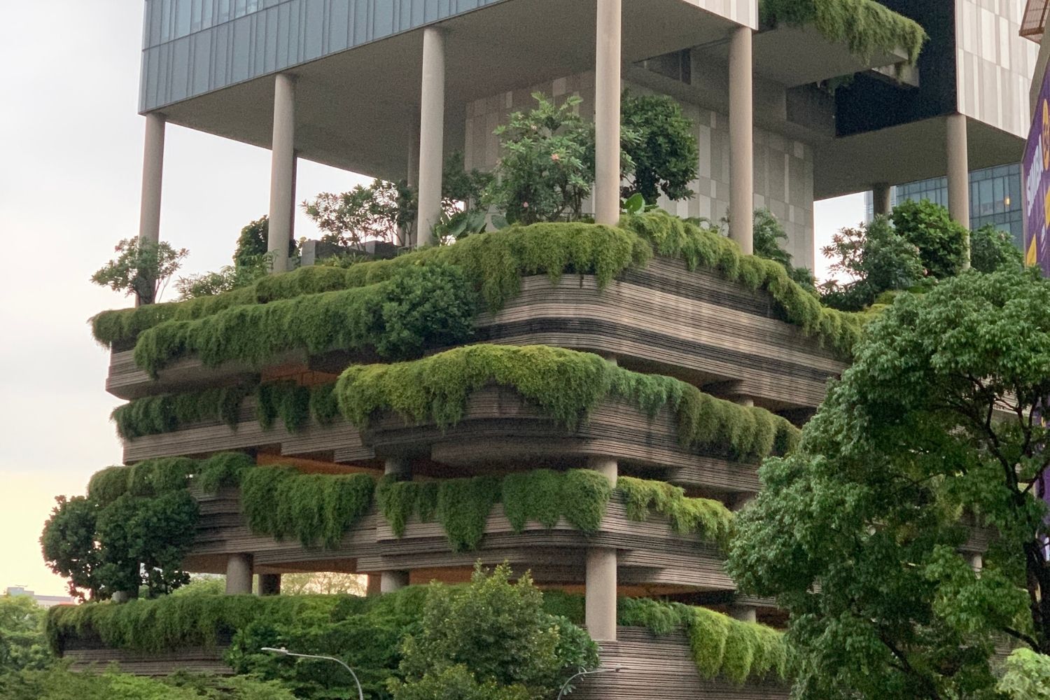 Sustainable Architecture Students: Core Principles Every Student Should Understand