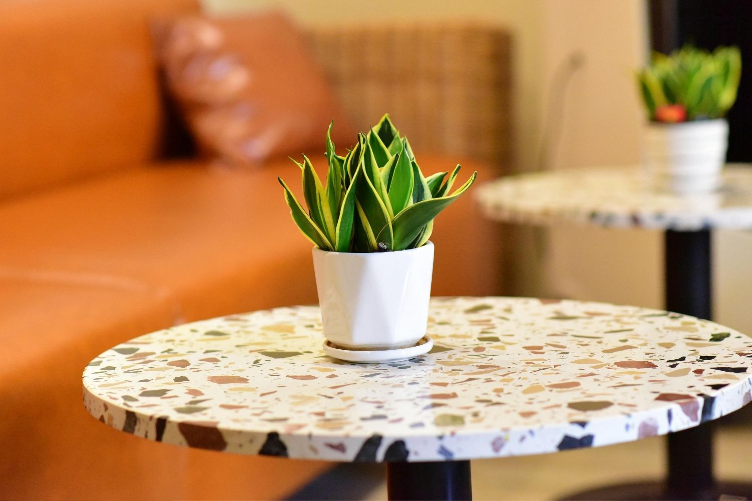 What Is Terrazzo and Where Is It Used?