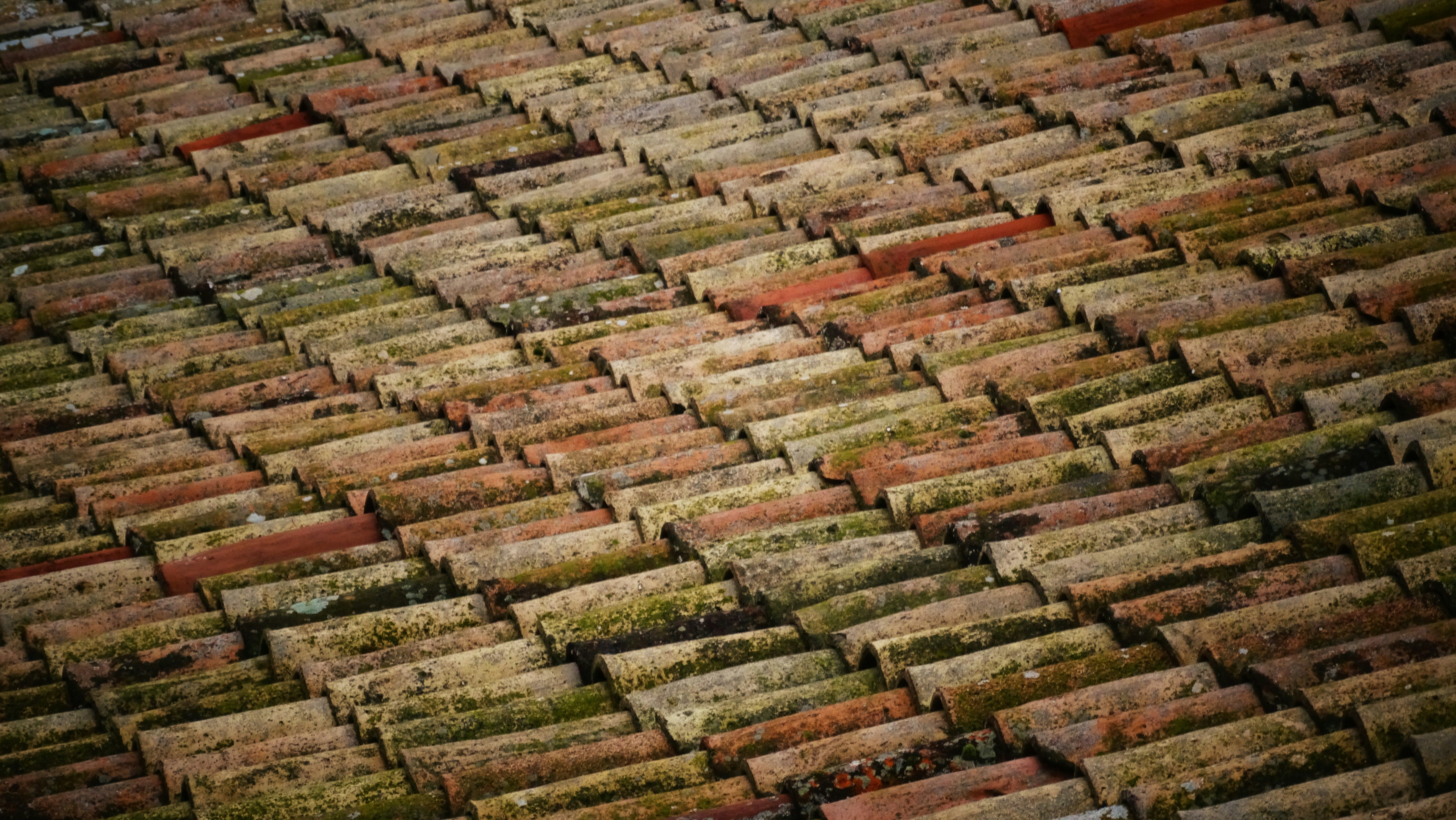 Picking the Best Tile Roofing Options for Your Home