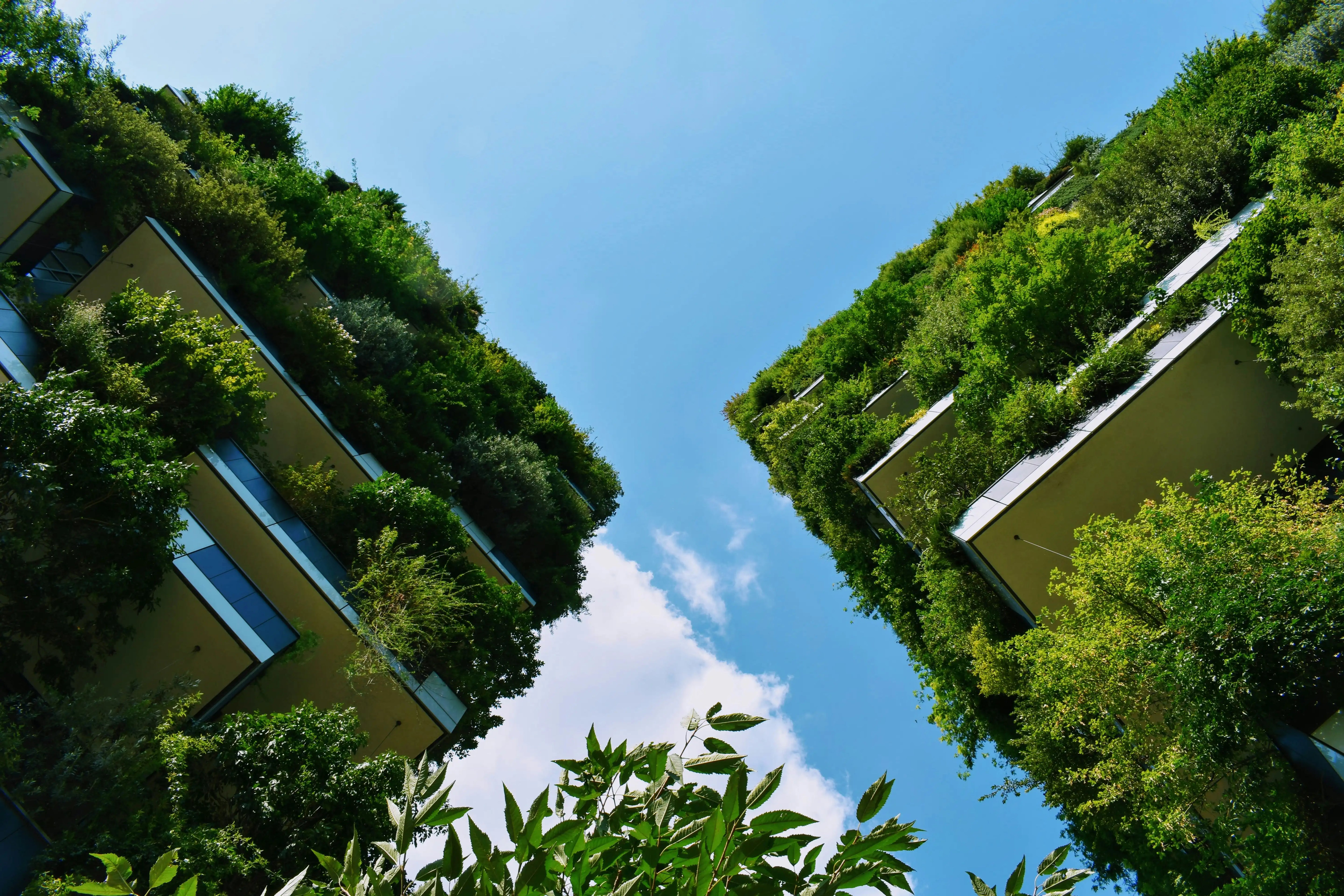 LEED vs BREEAM: What's the Difference?