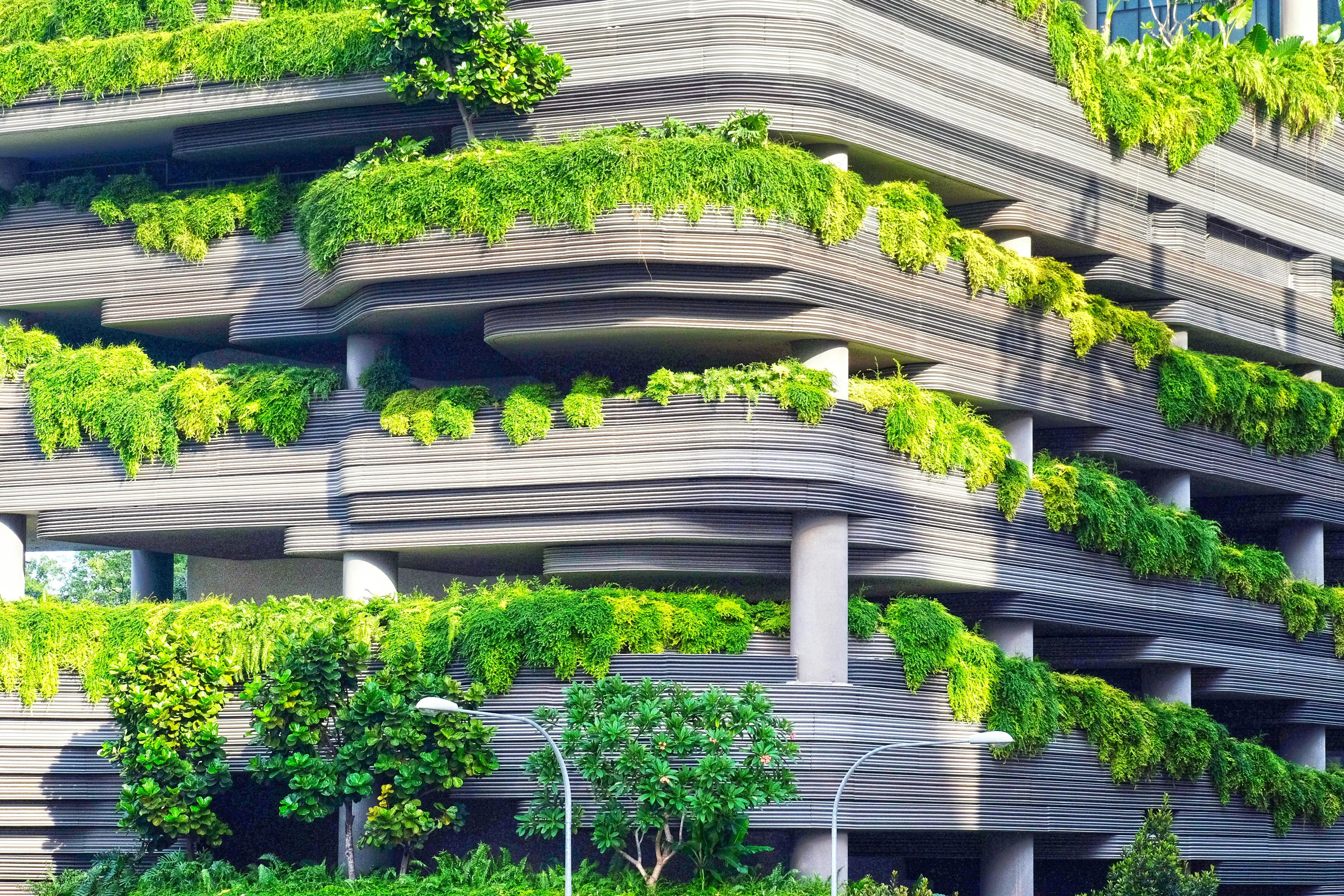 What Is a Net-Zero Building?