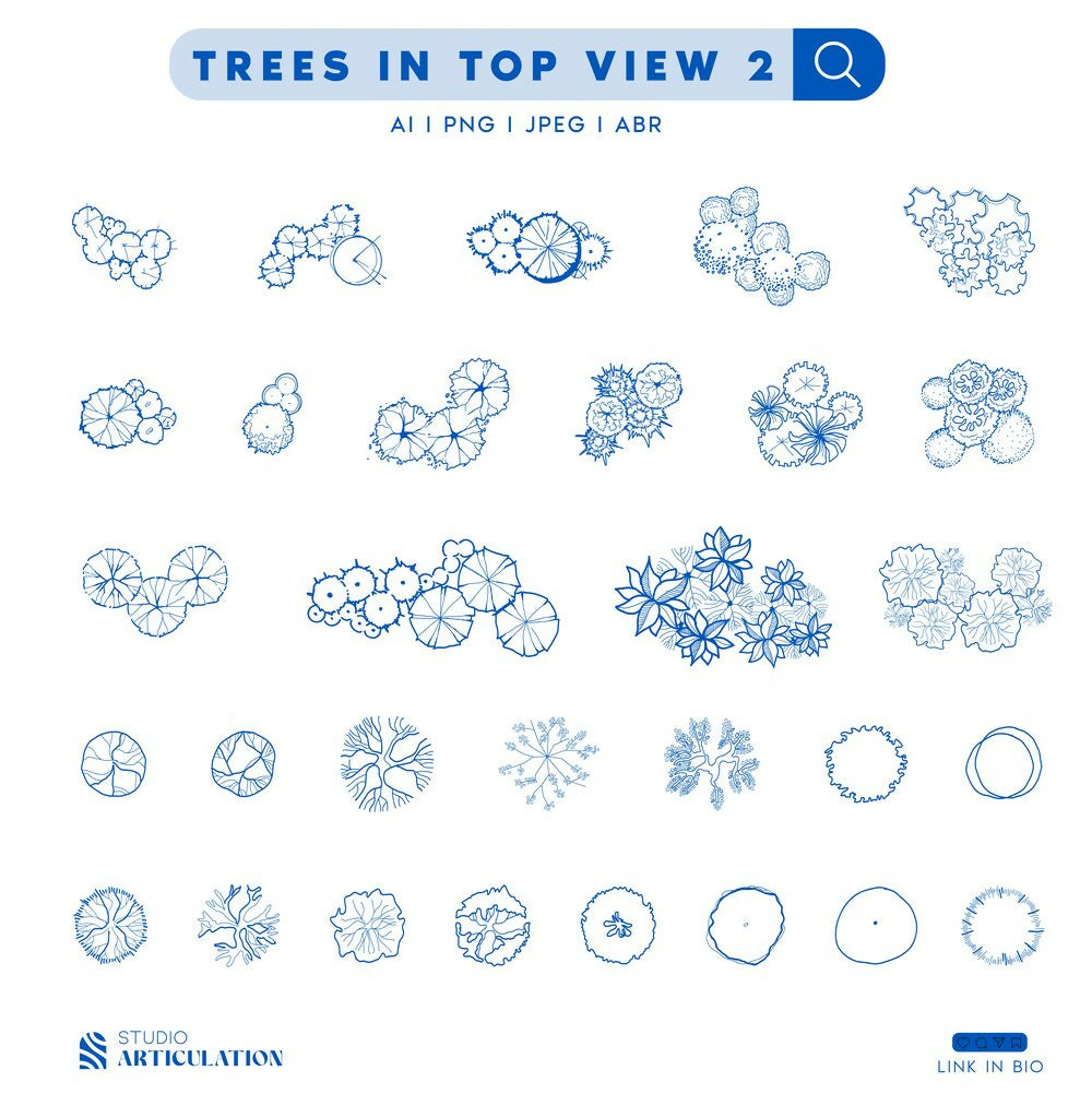 trees on top view 2-01