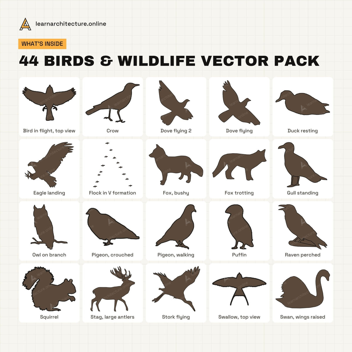 Birds & Wildlife Vector Pack what's inside