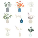Decorative Plants in Vases: Flat Vector and PNG Illustrations