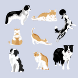 Cat and Dog Vectors (8 Flat Pet Illustrations)