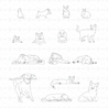 Cad & Vector Pets – Domestic Animals (Elevation)