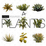 Plant Cutouts Pack 2: 9 Realistic Plants for Renders and Collages