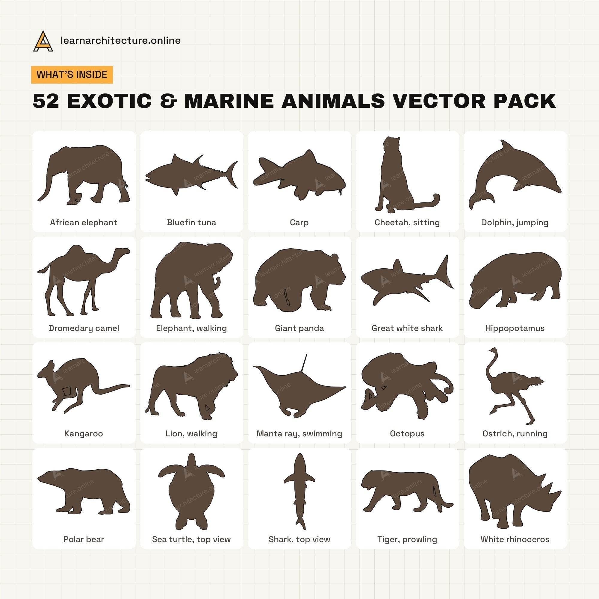 Exotic & Marine Animals Vector Pack what's inside