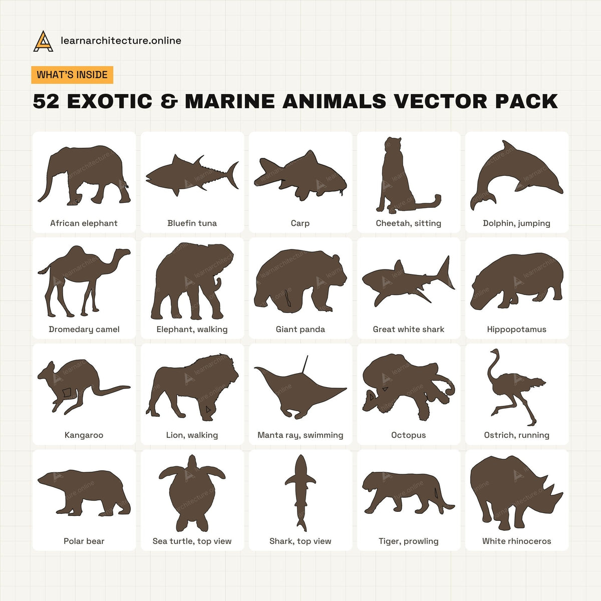 Exotic & Marine Animals Vector Pack what's inside