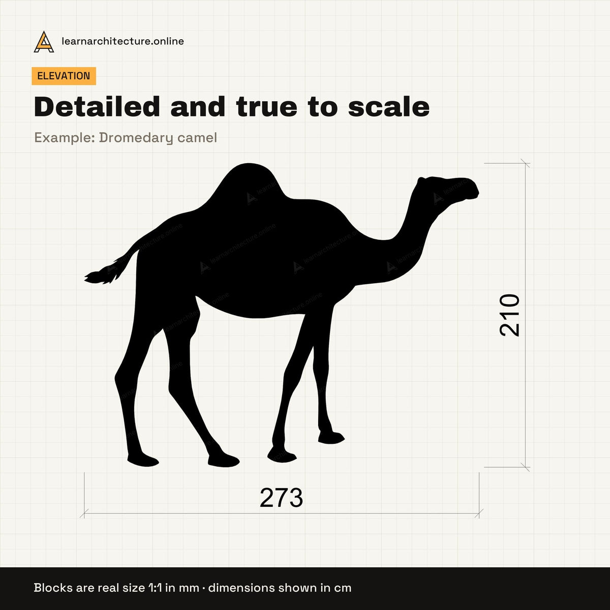 Exotic Animal Silhouettes CAD blocks set 1: views