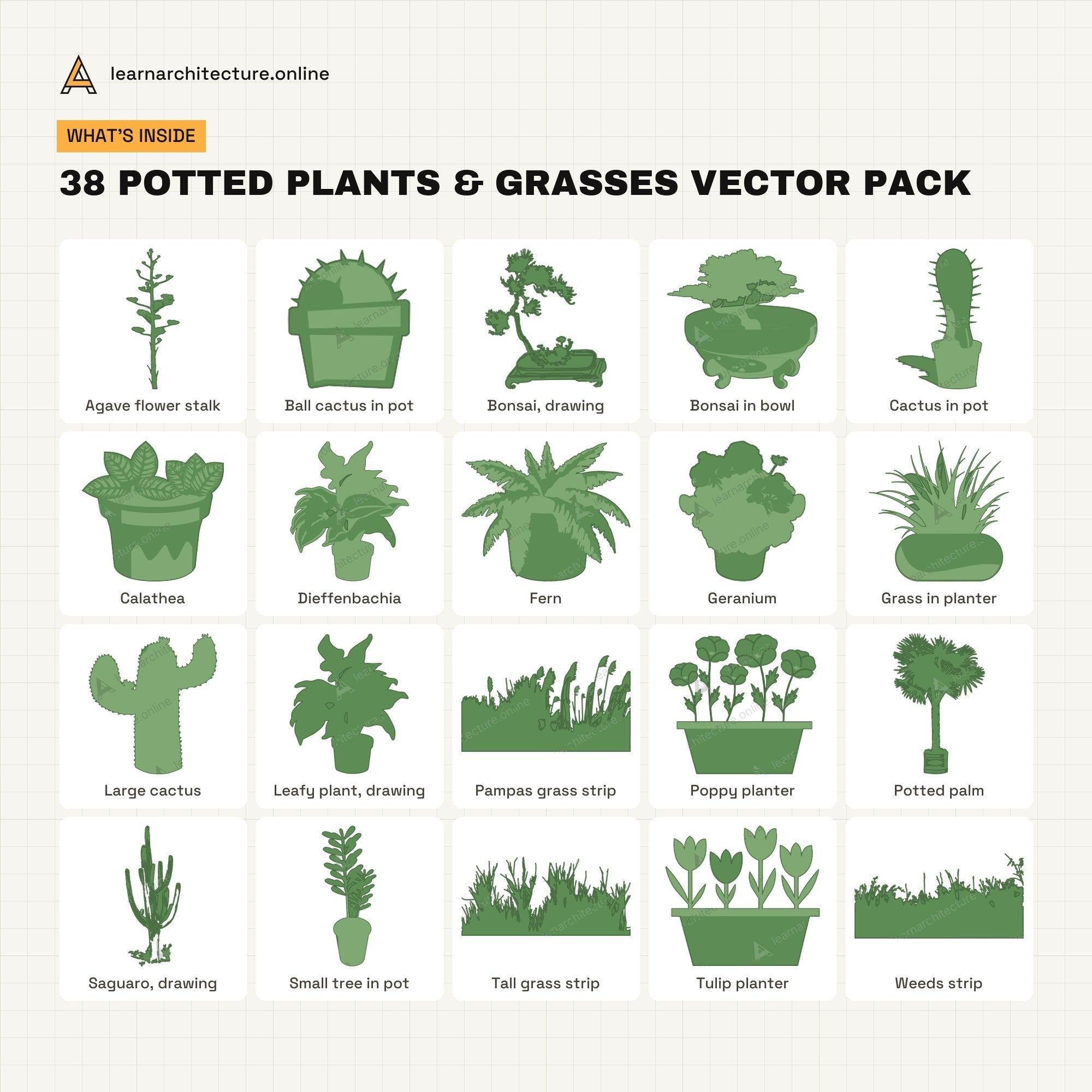 Potted Plants & Grasses Vector Pack what's inside