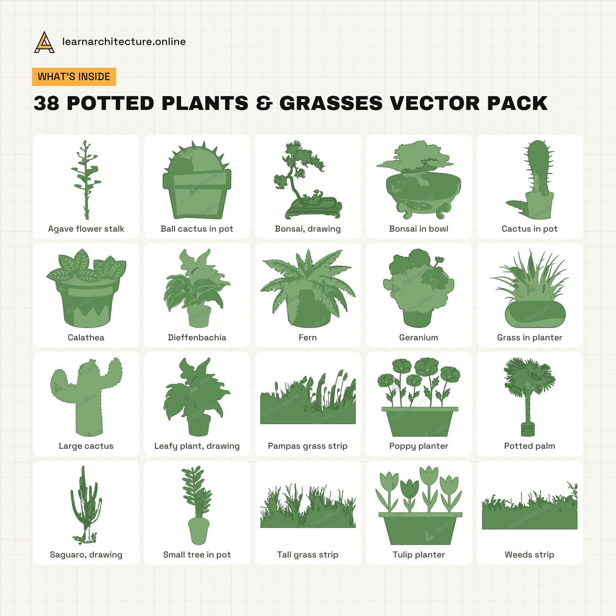 Potted Plants & Grasses Vector Pack what's inside