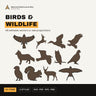 Birds & Wildlife Vector Pack cover