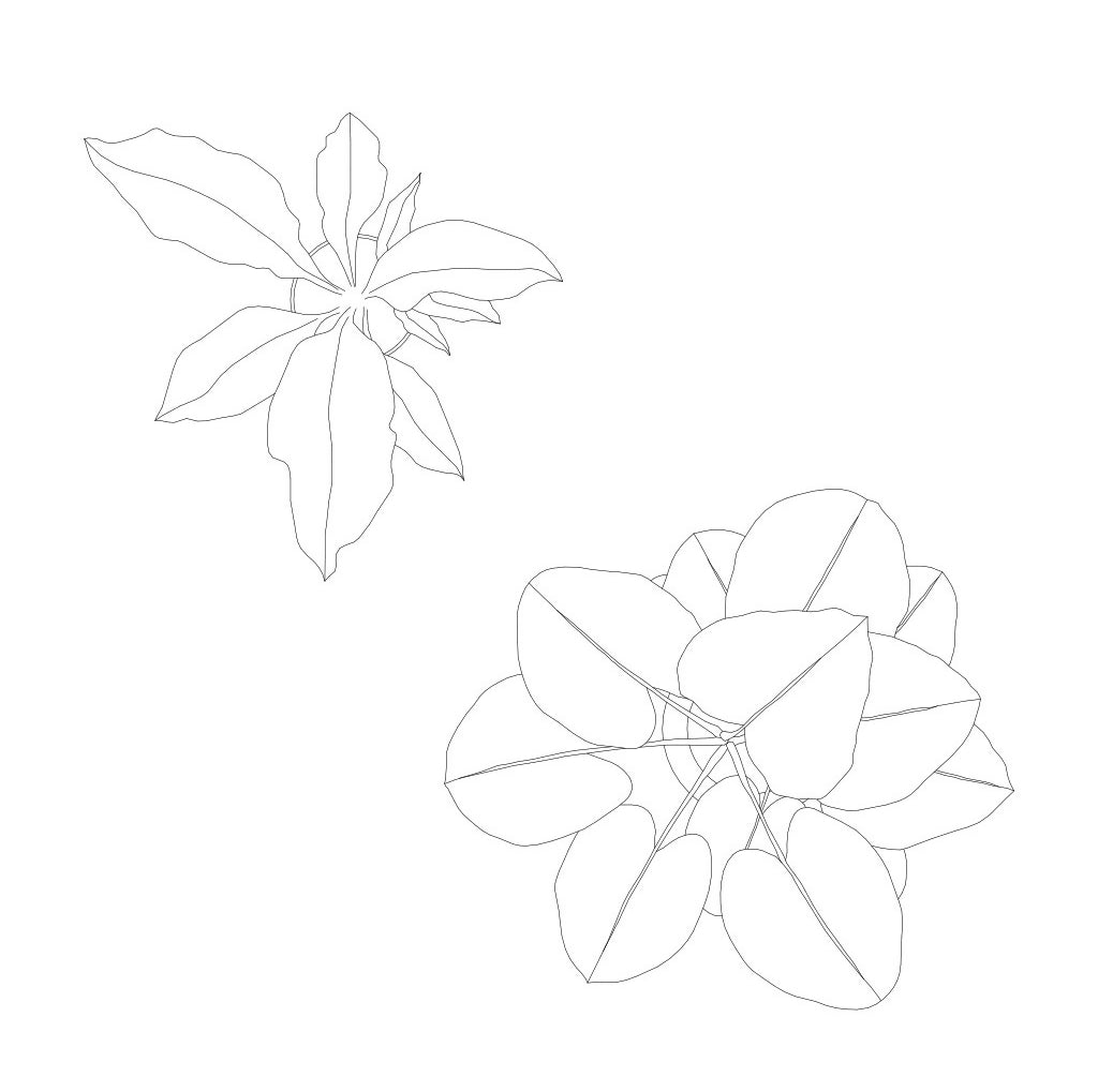 Cad and Vector Vegetation Pack Top view — CAD block set for architectural drawings, preview 2 of 3