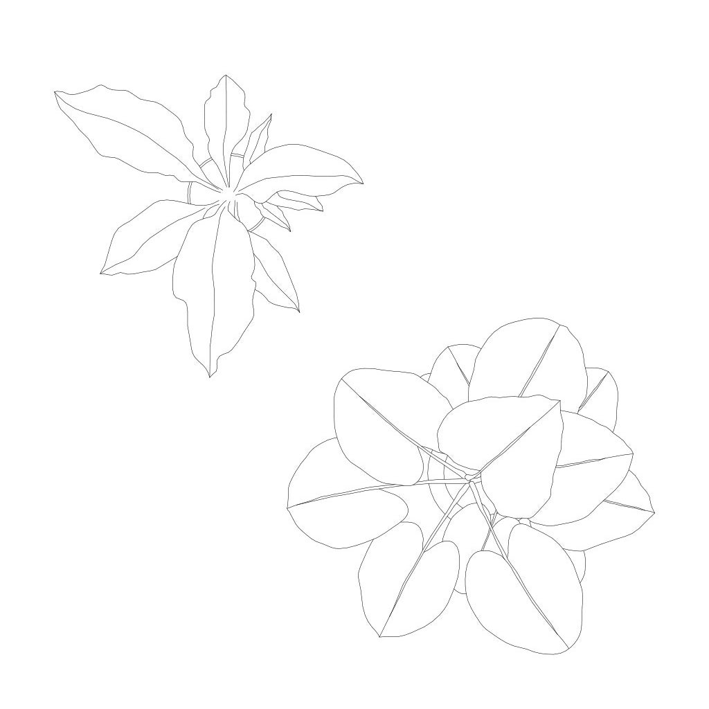 Cad and Vector Vegetation Pack Top view — CAD block set for architectural drawings, preview 2 of 3