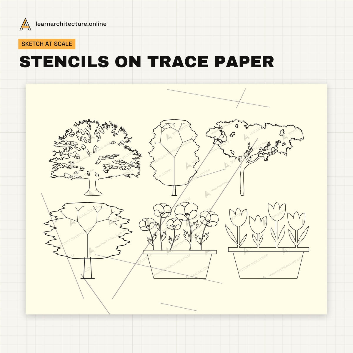 Trace Stencils: Elevation Trees & Plants stencils on trace paper