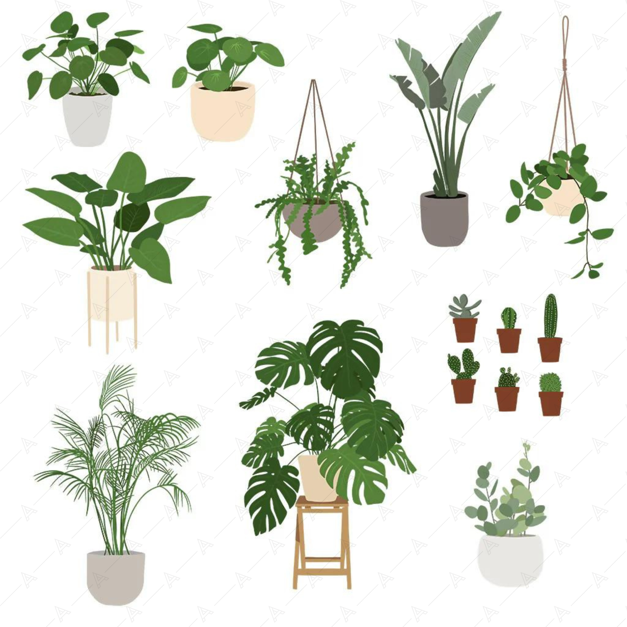 Decorative House Plants Illustrations — cutout pack for architectural visualisation