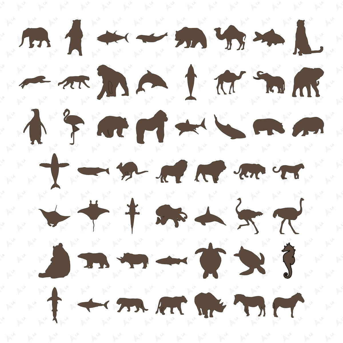 Exotic & Marine Animals Vector Pack all items