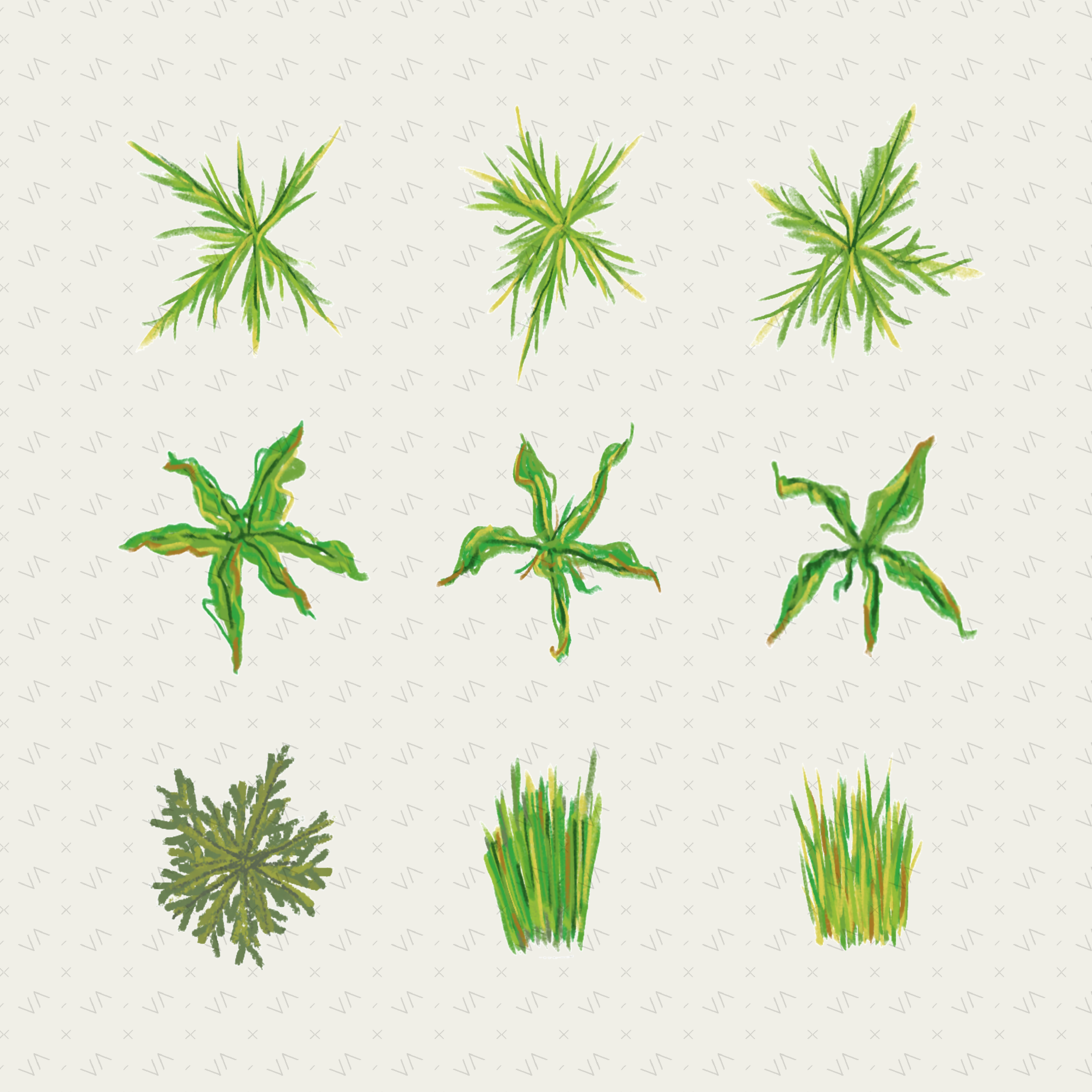 Flat Tropical Plan Trees & Vegetation — 9 Hand-Crafted Illustrations for Architecture Drawings — cutout pack, preview 1 of 4