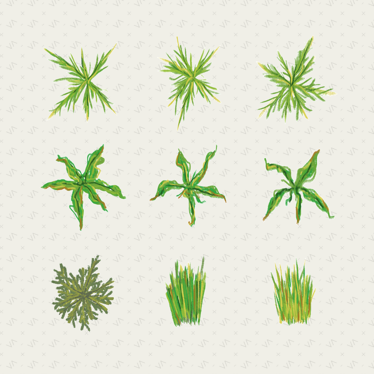 Flat Tropical Plan Trees & Vegetation — 9 Hand-Crafted Illustrations for Architecture Drawings — cutout pack, preview 1 of 4