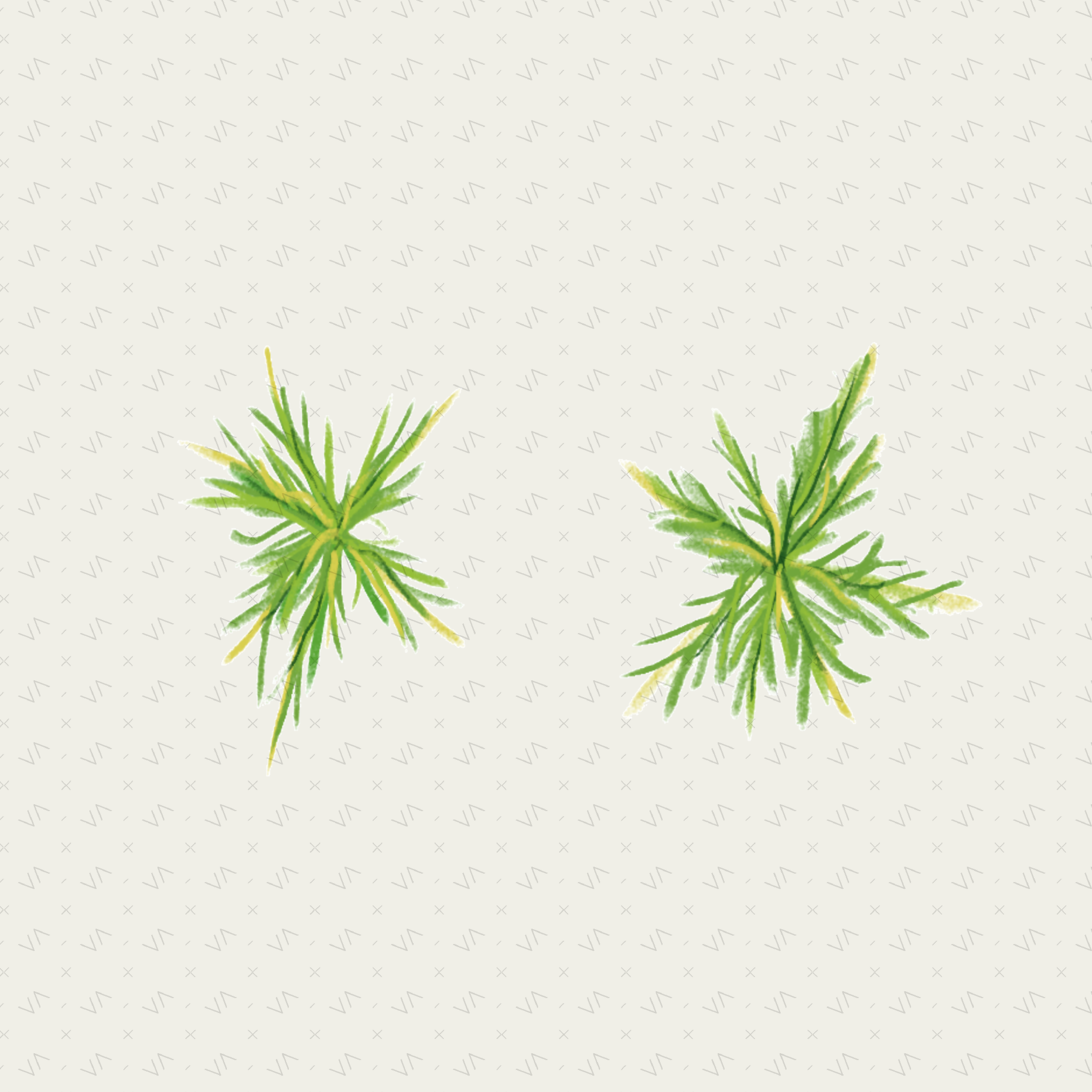 Flat Tropical Plan Trees & Vegetation — 9 Hand-Crafted Illustrations for Architecture Drawings — cutout pack, preview 2 of 4