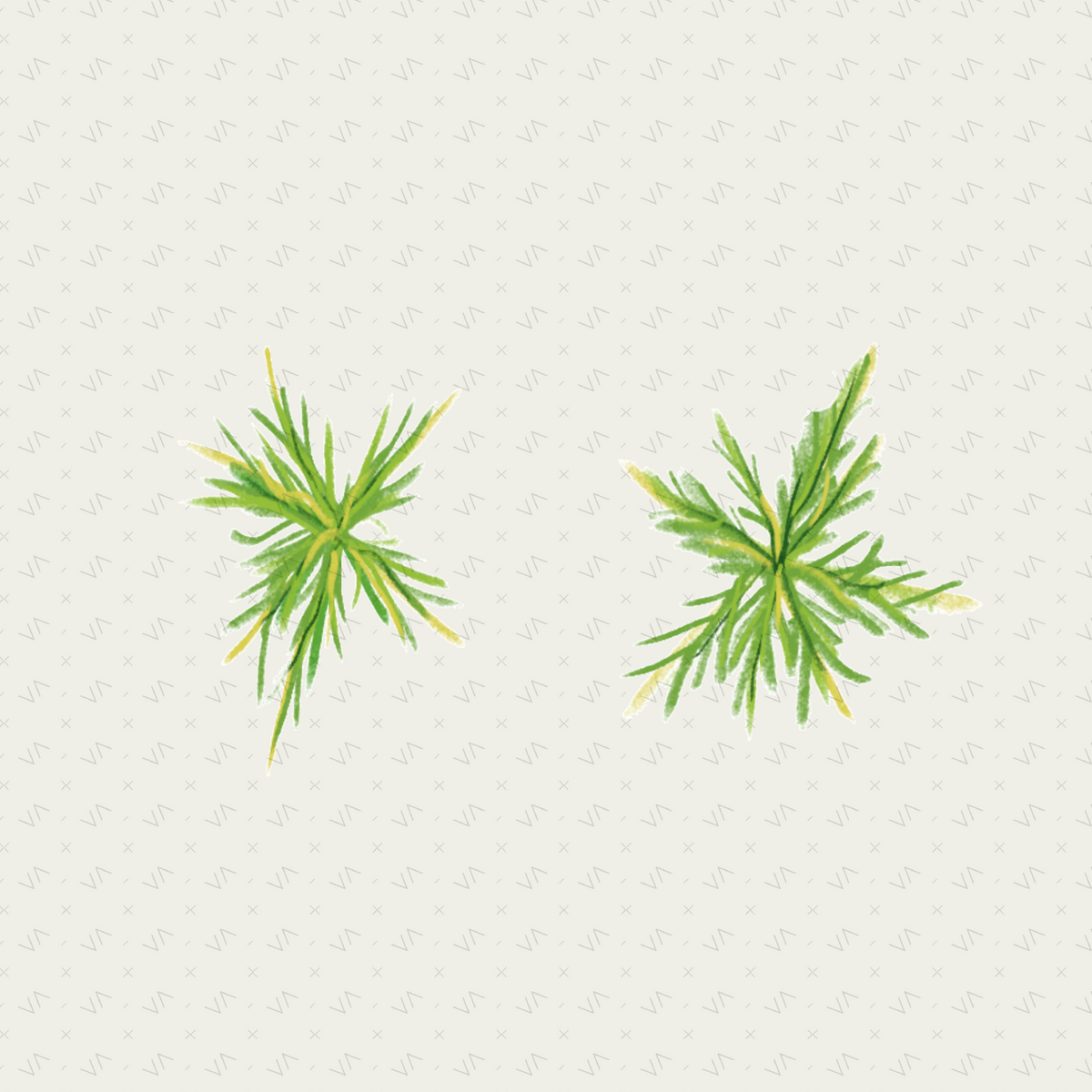Flat Tropical Plan Trees & Vegetation — 9 Hand-Crafted Illustrations for Architecture Drawings — cutout pack, preview 2 of 4