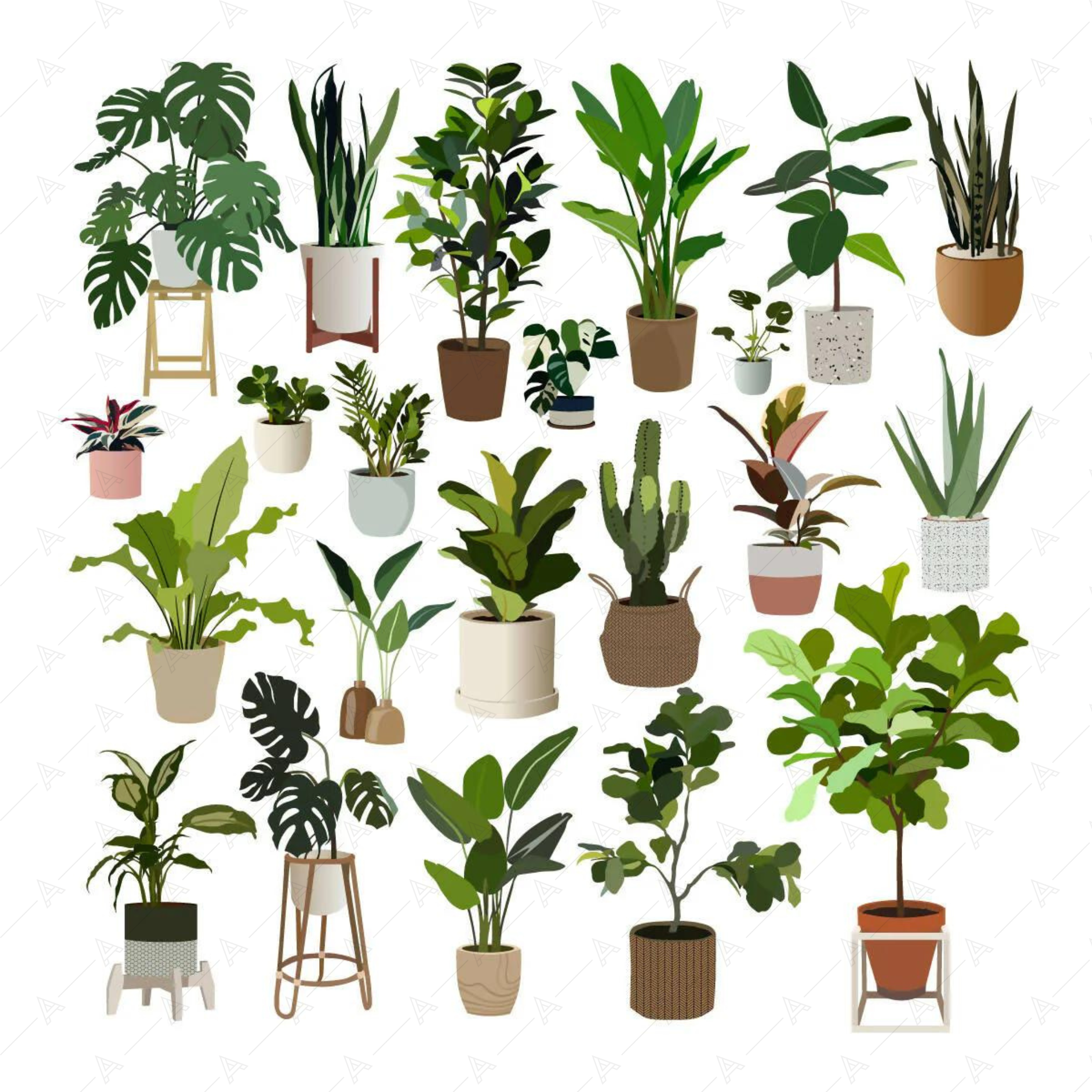 Flat Vector 22 Plants Pack — cutout pack for architectural visualisation