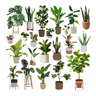 Flat Vector 22 Plants Pack — cutout pack for architectural visualisation