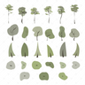 Flat Vector Concept Abstract Trees — cutout pack for architectural visualisation, preview 1 of 5