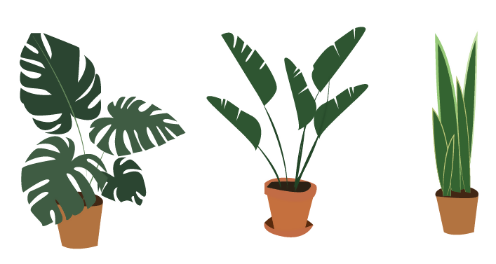 Flat Vector Plants Jungle 15+ — cutout pack for architectural visualisation, preview 2 of 4