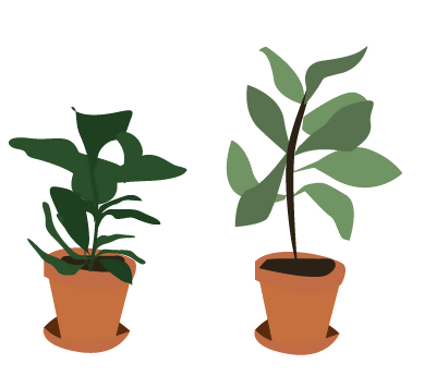 Flat Vector Plants Jungle 15+ — cutout pack for architectural visualisation, preview 3 of 4