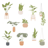 Illustrated Plants PNG Cutouts: Potted and Hanging Houseplants