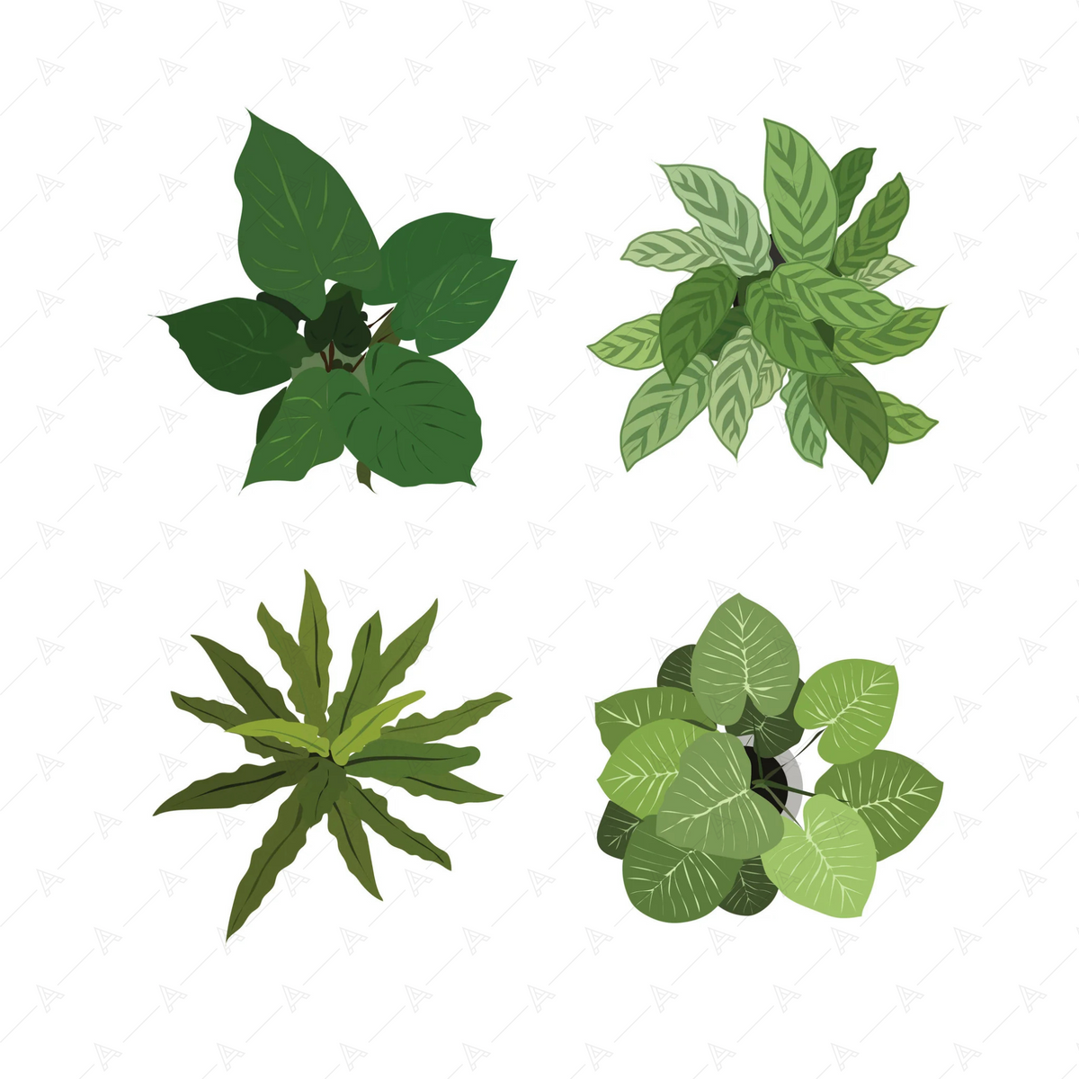 Illustrated Plants (22 figures) — cutout pack for architectural visualisation, preview 2 of 4