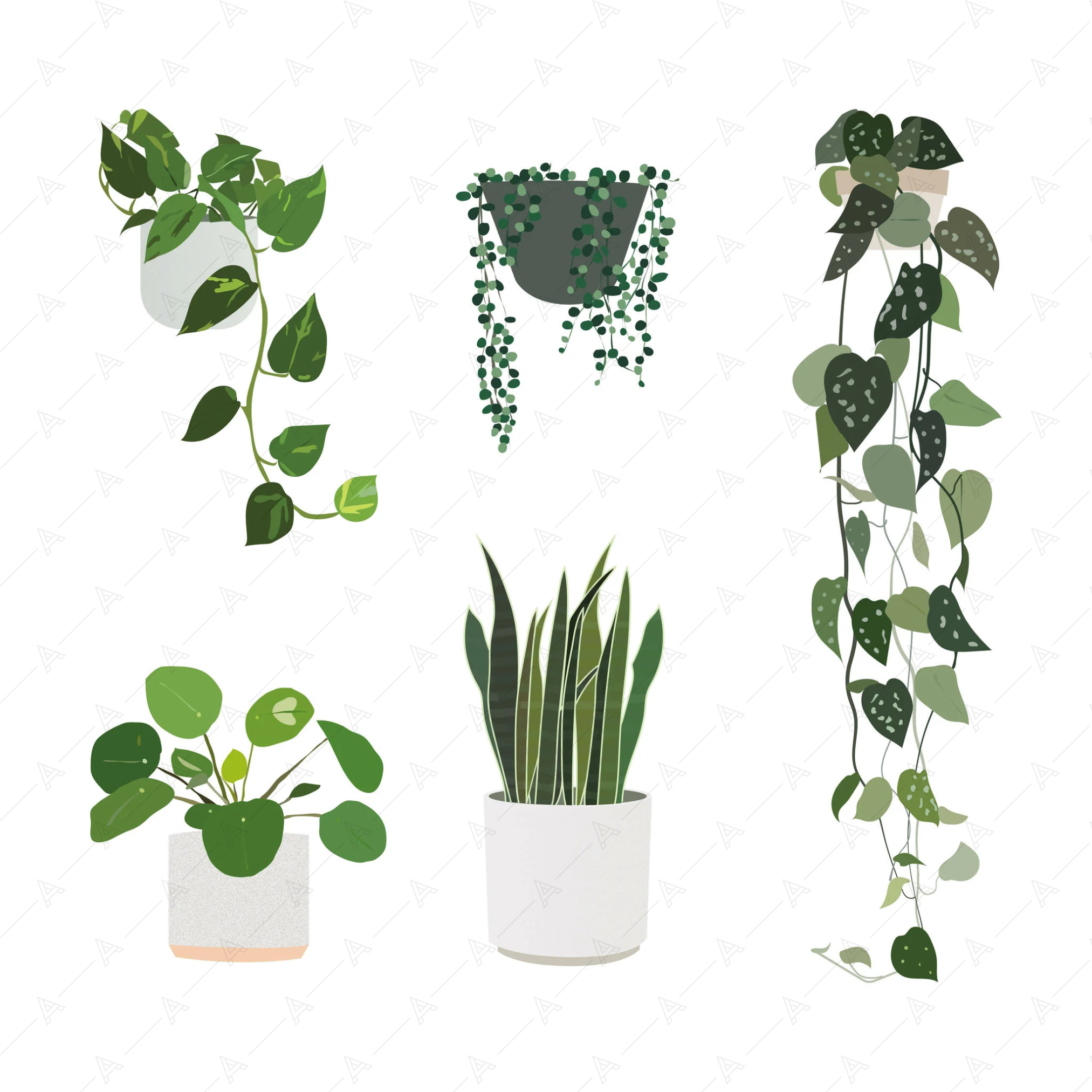 Illustrated Plants (22 figures) — cutout pack for architectural visualisation, preview 3 of 4