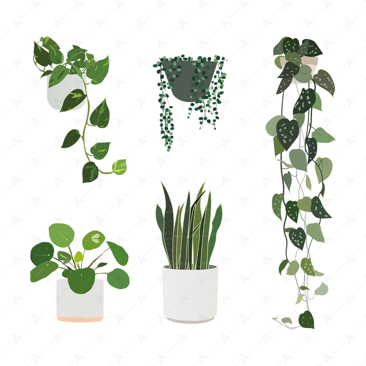 Illustrated Plants (22 figures) — cutout pack for architectural visualisation, preview 3 of 4
