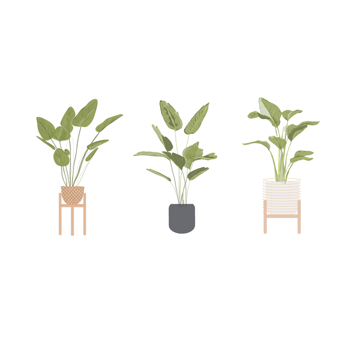 Illustrated Plants — cutout pack for architectural visualisation, preview 2 of 4