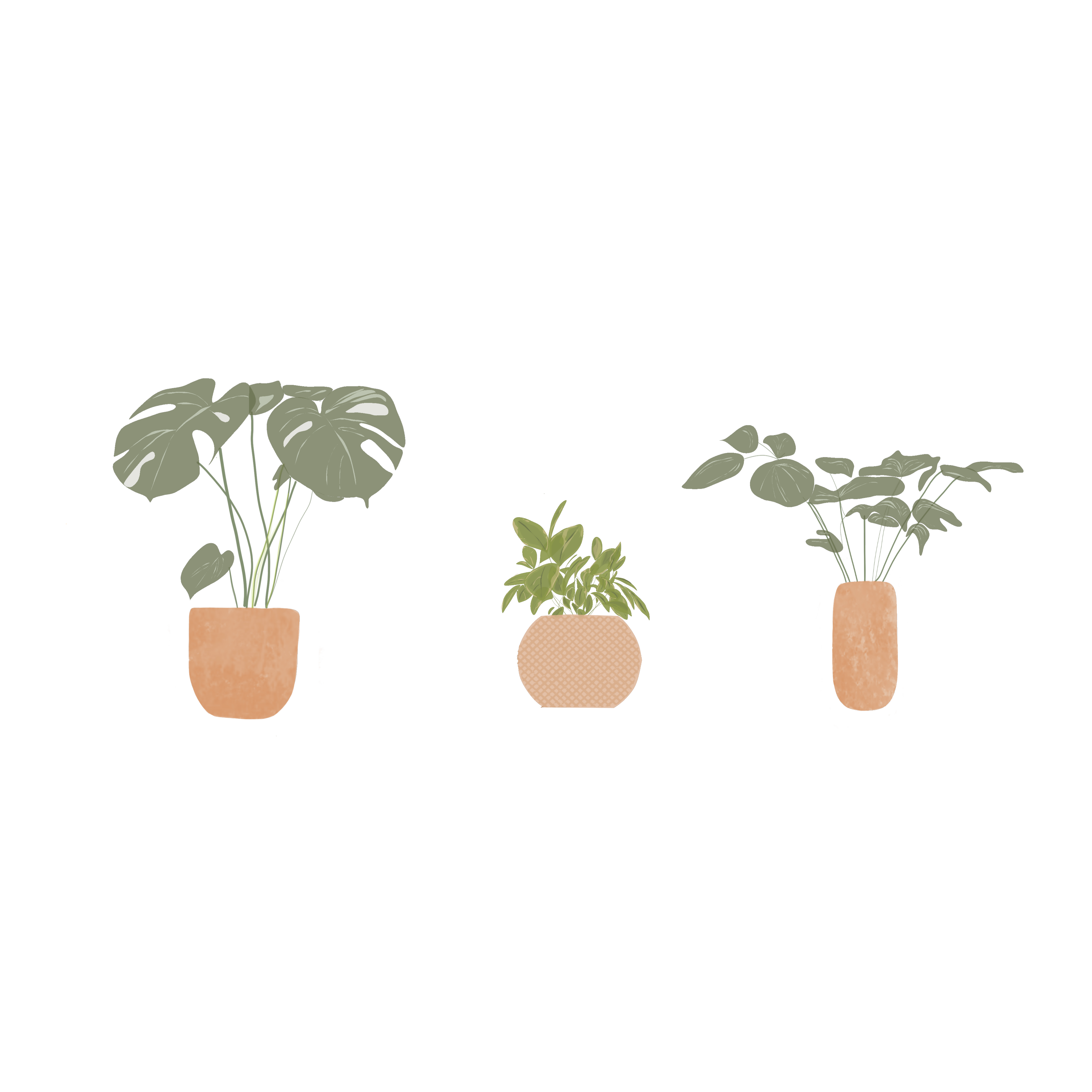 Illustrated Plants — cutout pack for architectural visualisation, preview 3 of 4