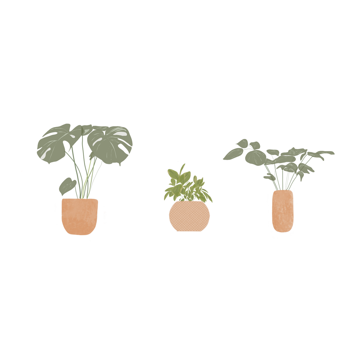 Illustrated Plants — cutout pack for architectural visualisation, preview 3 of 4