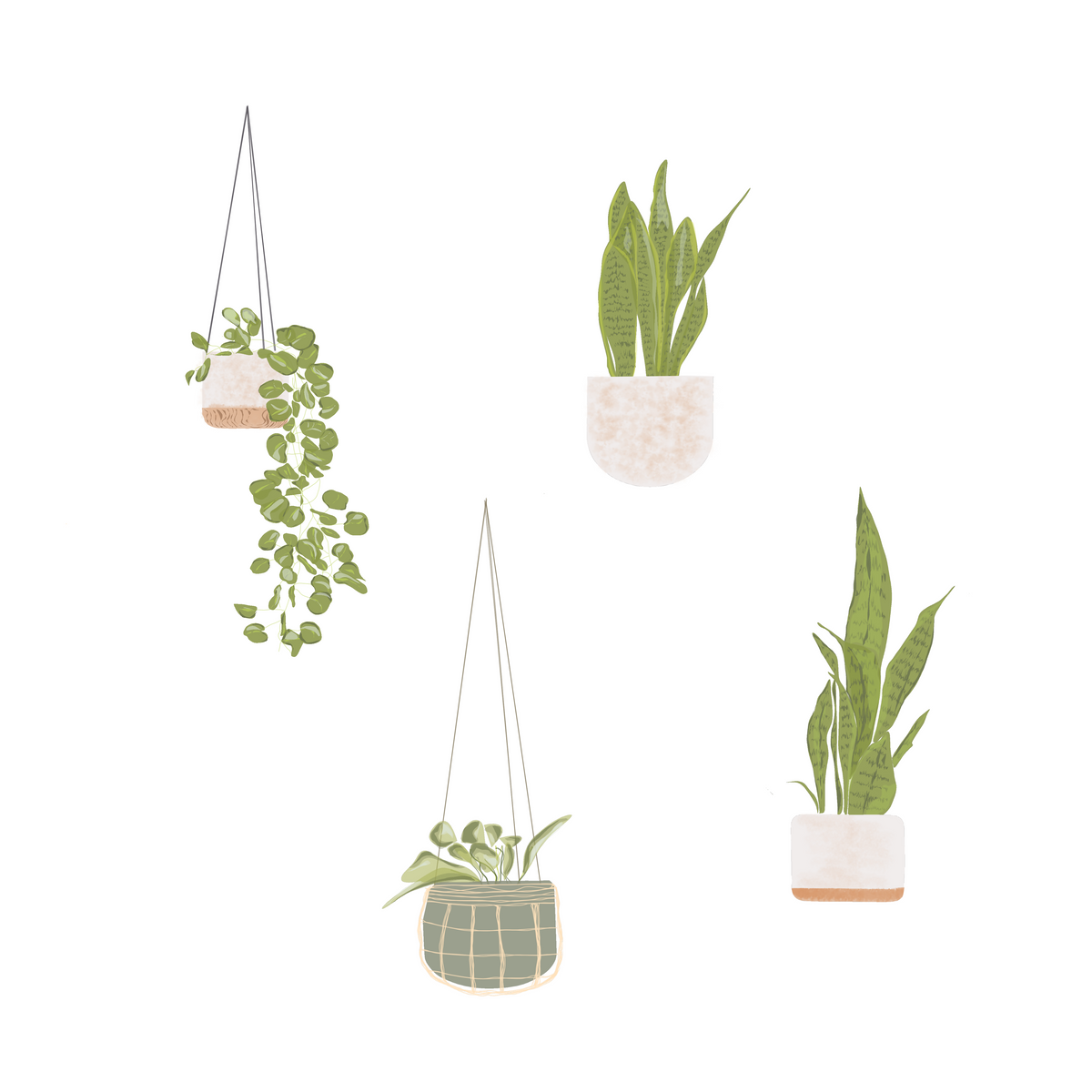 Illustrated Plants — cutout pack for architectural visualisation, preview 4 of 4