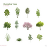 Illustrative Trees 3 — cutout pack for architectural visualisation