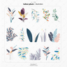 Indoor Plants Pack — cutout pack for architectural visualisation, preview 1 of 9