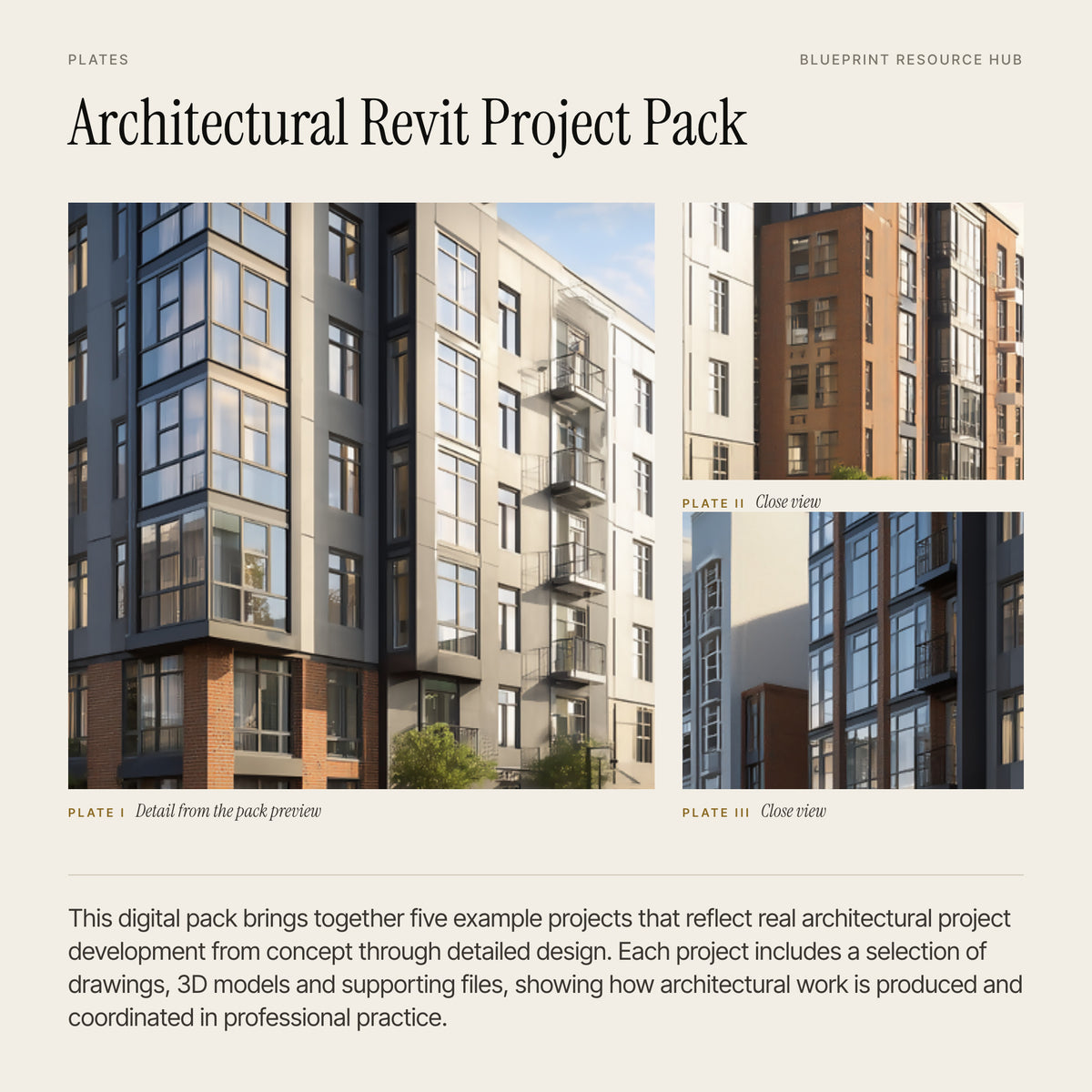 Architectural Revit Project Pack: Project Details & Drawings 2: plates