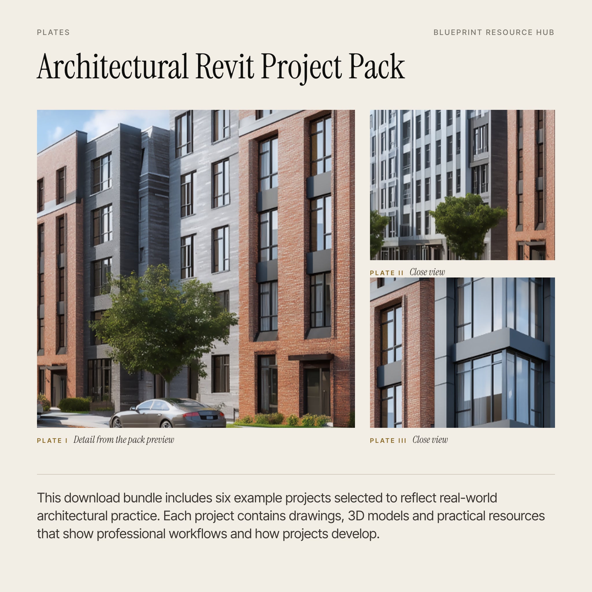 Architectural Revit Project Pack: Project Details & Drawings: plates
