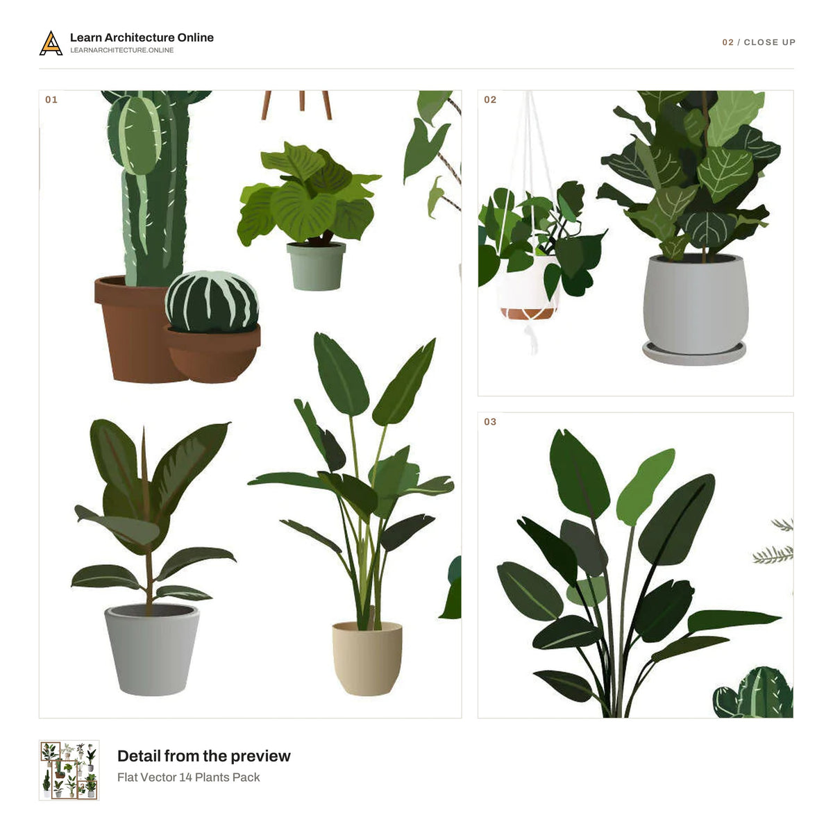 Flat Vector 14 Plants Pack close up