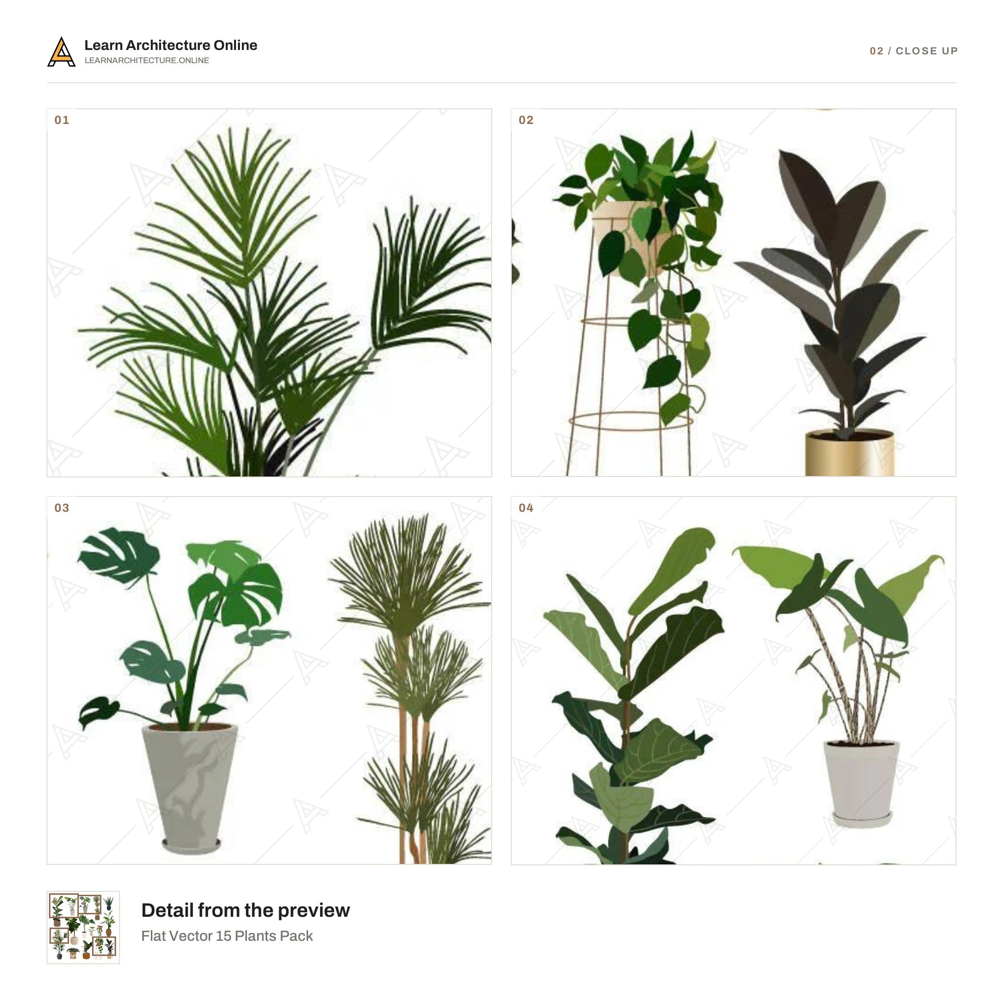 Flat Vector 15 Plants Pack close up